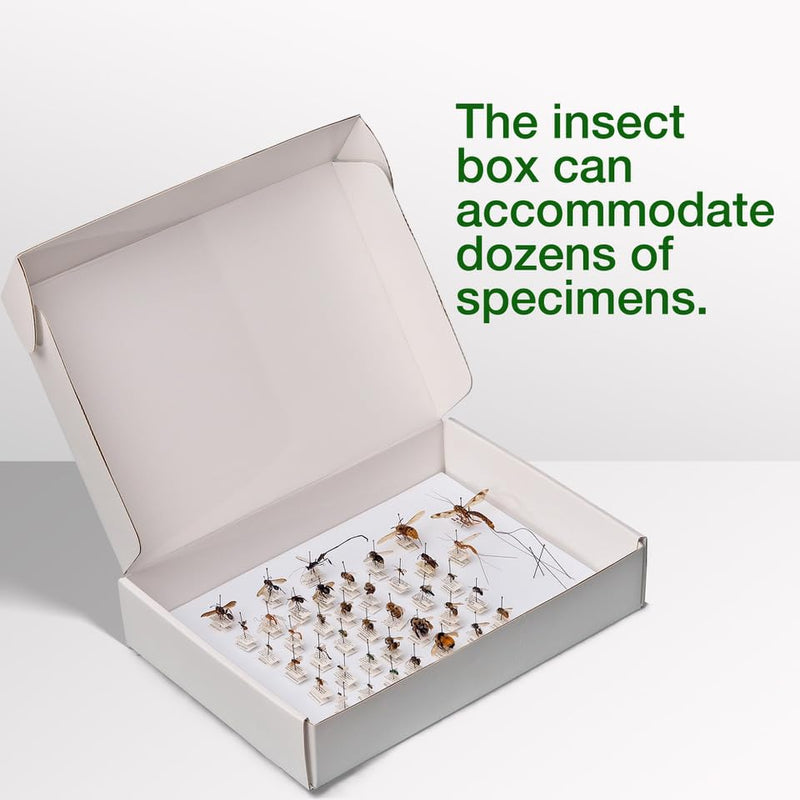 [Australia - AusPower] - Insect Pinning Box for Entomology | 13" x 9" x 2.5" | Includes White Foam to Hold Pins in Place | for Butterfly, Moth and Bug Collections and Specimen Displays 1 