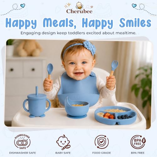 Baby Feeding Essentials Silicone Baby Feeding Set 15-Pcs | Suction Plate with Lid, Bowl, Adjustable Bib, Sippy Cup, Snack Cup, Spoon, Fork, Pacifier, Brush & Ice Tray | CE & CPC Certified Gray Blue