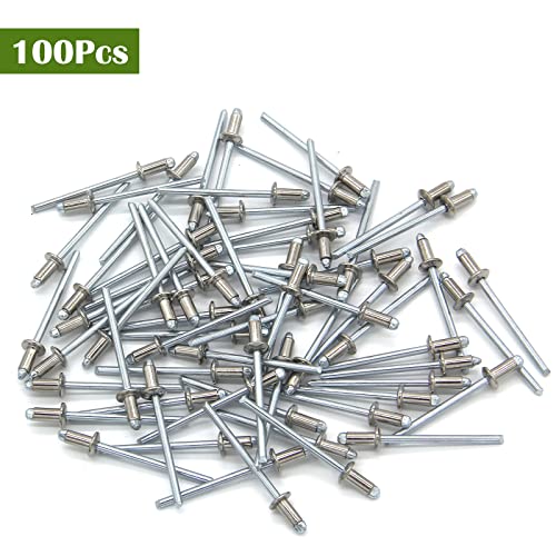 Piutouyar 100Pcs 1/8" x 1/4" Stainless Steel Pop Rivets Assortment, 3.2x6.4mm Dome Head Blind Rivets Metal Boat Rivet for Kayak, Canoe (Pack of 3) 1/8" x 1/4" (Pack of 3) Silver