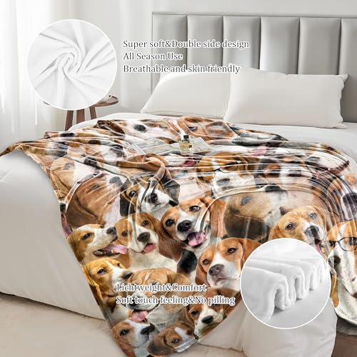 Beale Dog Blanket, Beagle Gifts for Dog Lovers 60" x 80" Beagle Dog 60"x80" for Adults