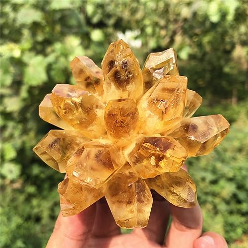 Citrine Quartz Cluster Reiki Healing Irregular Shape & Size Natural Crystal Point Mineral Crystal Specimen Home Decor (200~300g) 200~300g