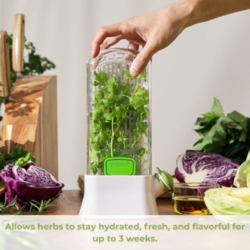 Clear Prepara Herb Savor food jar for fresh herbs, featuring a sleek design and airtight lid to keep herbs fresh longer.