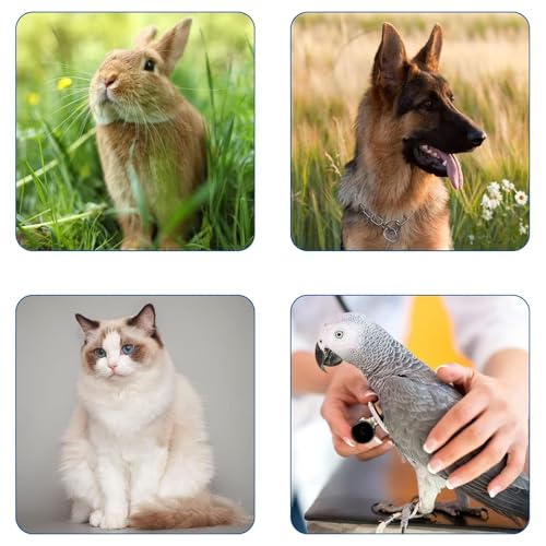 Pack of 30 Chair Sample Tubes, 15 ml Poop Sample Tubes Dog Cat with Spoon Practical Sample Tubes Dog for Pet Tests Also Pack of 30
