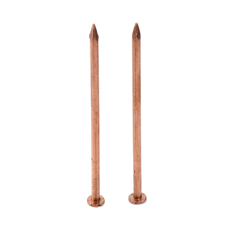 [Australia - AusPower] - MY MIRONEY 10 Pack 4 Inch Copper Nails Solid Copper Nail Spikes for Slating & Roofing 4" 