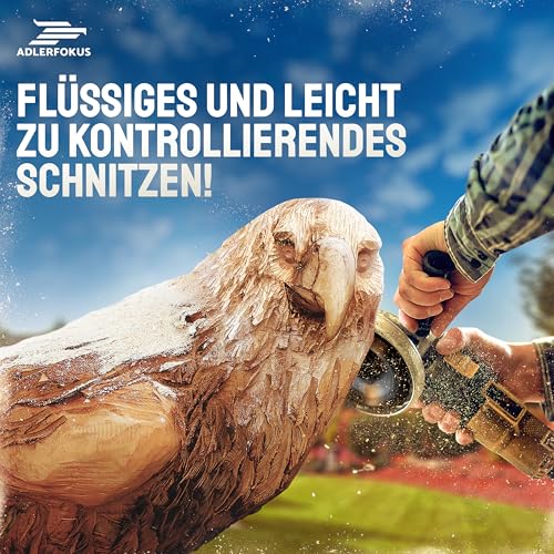 Eagle Focus Wood Grinding Disc 125mm Set Angle Grinder [Extra Sharp] | Flex disc for wood, root mill, paint mill, tree stump grinder, rasp disc, grinding with a flex grinding disc 125 mm (with transparency) Set of 3
