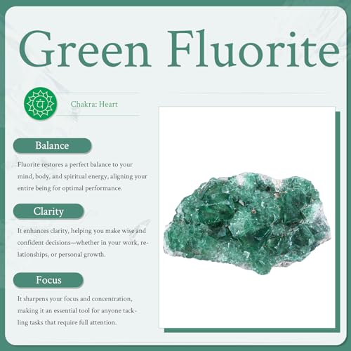 Sportmusies Natural Green Fluorite Crystal Cluster, 0.98-2.95 inches 0.98 - 2.95 Inch