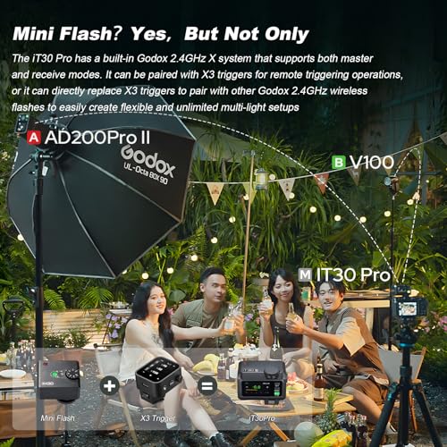 GODOX iT30 Pro C TTL Mini Flash for Canon with Diffuser, HSS 1/8000s IT30 Pro C(Black)