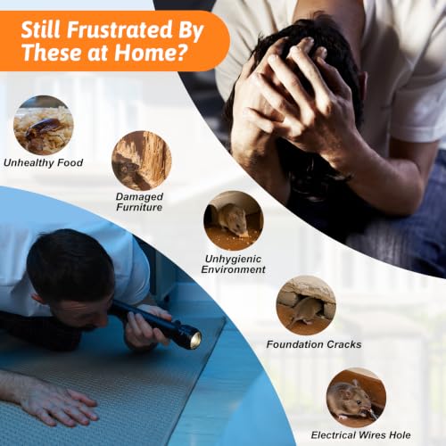 Steel Wool Against Mice - 20 m Roll #1 Coarse, 6.5 cm Wide - Mouse Hole Filler - Grade #1 Coarse for Mouse, Rat, and Rodent Control (Includes Gloves and Scissors) #1 #1 Steel Wool