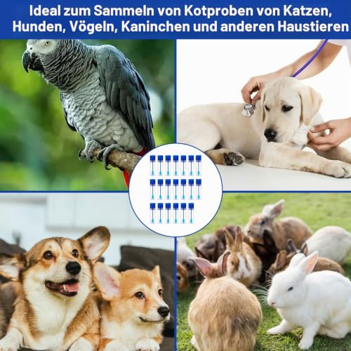 Pack of 20 chair sample tubes, feces sample tubes, dog | Chair catcher for chair sample, chair sample with spoon, 15 ml faecal sample tube dog and cat, examination tube for pets