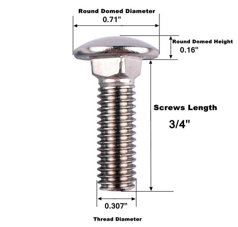 [Australia - AusPower] - 5/16-18 x 3/4" Carriage Bolts Screws, 18-8 Stainless Steel 304, Round Head, Square Neck, UNC Fully Machine Coarse Threaded,10Pcs 5/16-18 x 3/4" (10 PCS) 