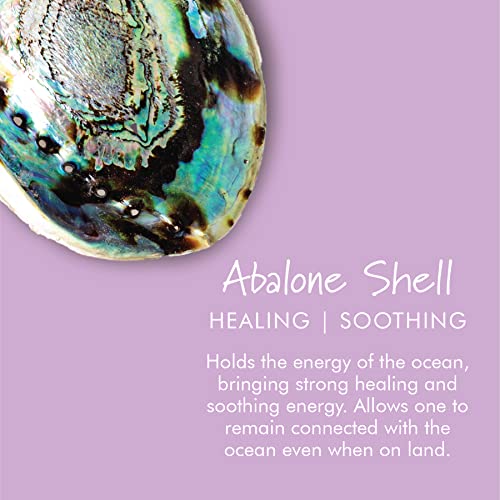 ESPOIR & AMOUR Abalone Shell for Home Decor - Spiritual Abalone Shell for Smudging, Healing and Ritual - Hand-Picked Smudge Bowl - Sustainably Harvested 4.5-5 Inch Abalone Shells Incense Holder REGULAR