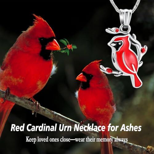 Yinplsmemory Cremation Jewelry Red Cardinal Urn Necklace for Ashes for Human/Pet Memorial Keepsake Ashes Urn Jewelry