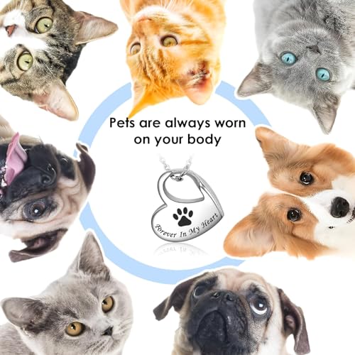 Heart Stainless Steel Pet Ashes Urn Necklace Memorial For Dog Cat New generation