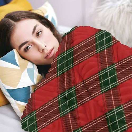 Red & Green Plaid Throw Blanket for Couch Christmas Soft & Fluffy Bed Blanket for Women Lightweight Fleece Blankets Home Decor Gifts for Women and Men 50" x 60" Plaid-YQS06869 50" x 60"