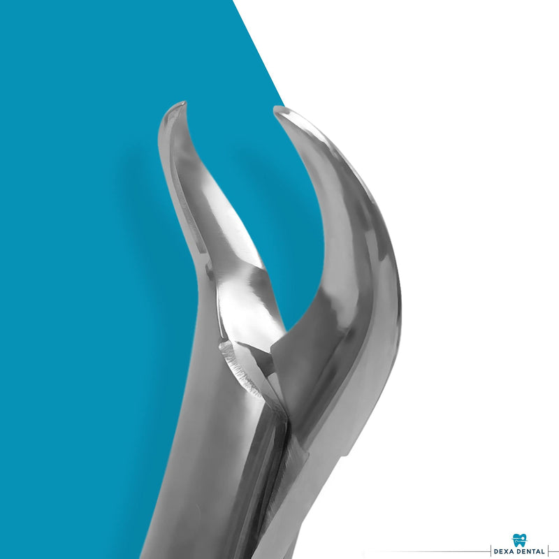 [Australia - AusPower] - Heavy Duty Dental Extracting Forceps # 150# 151# 23, Apical Forceps, Cowhorn Forceps, Lower Molars, Atraumair - 3 Pcs #150+151+23 