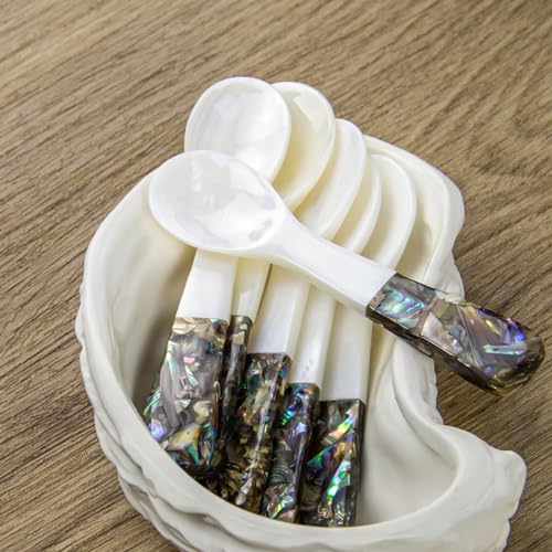 DUEBEL Set of 6 Caviar Spoons of Abalone Handle, 4" Mother of Pearl Spoons for Caviar Serving, Egg Serving, Catering Deroration, Restaurant Tableware