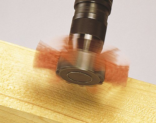 wolfcraft nylon rotary flap brush Ø 100 x 20 mm, hexagon shank 1/4" (6.35 mm), 1512000