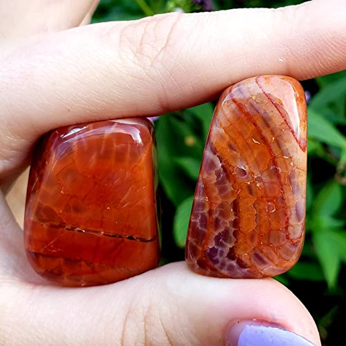 Fire Agate from Mexico Tumbled & Hand Polished Natural Protection & grounding Crystal Healing Metaphysical Spiritual Gemstone 1pc