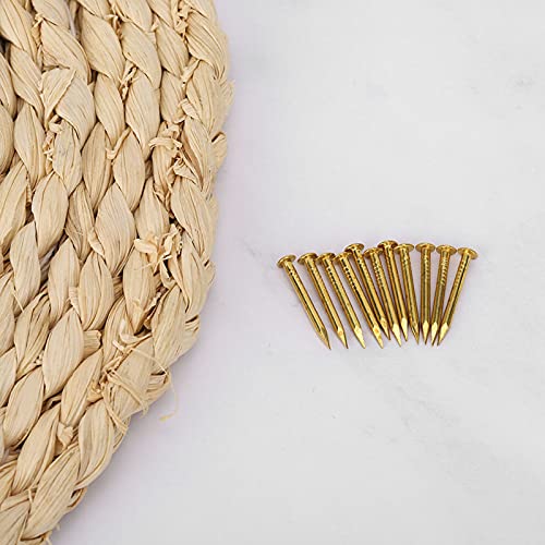 HEEPDD 100-piece brass escutcheon tacks with round heads, 22mm thick brad nails