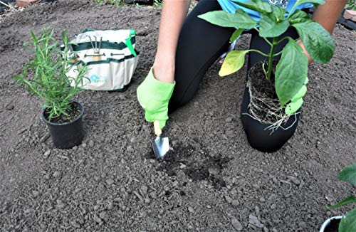 Gardinnovations garden tool kit for young gardeners with child-sized gardening tools