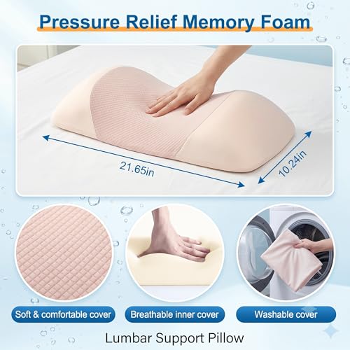 Lumbar Support Pillow for Sleeping,Premium Memory Foam Lower Back Pain Relief Bed Rest Support Pillows for Car Bed,Couch,Waist Support Care Cushion,Sleep Lumbar Pillow (Light Pink) Light Pink
