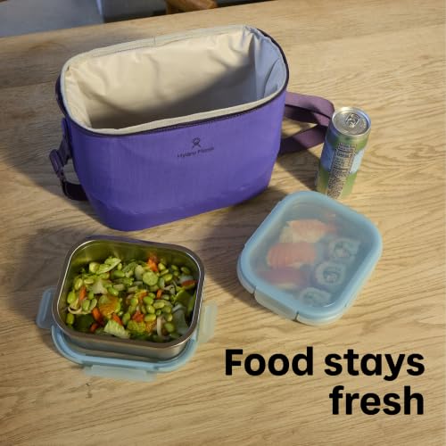 Hydro Flask Carryout Lunch Bag - Insulated Lunch Bag - Soft Travel Cooler Harbor Blue 8 L