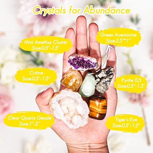 Crystals and Healing Stones Set for Anxiety, Relaxation Spiritual Crystals Gift for Meditation, Manifestation, Zen, Reiki, Fengshui (Abundance) Abundance