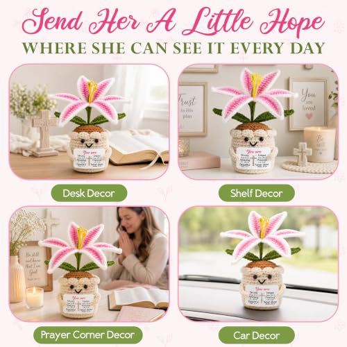 OASSIE Christian Gifts for Women - Emotional Support Crochet Flowers Lily Pink Lily - You Are