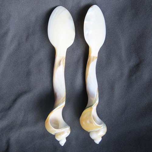 Set of 02 Spoons Shell Spoon Mother of Pearl Caviar Spoons W Round Handle for Caviar, Egg, Ice Cream, Coffee, Restaurant Serving (2 Pieces,7 Inches)
