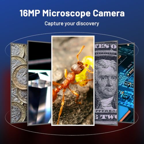 TOMLOV P10 handheld USB microscope for adults and kids, black coin magnifier with LED light