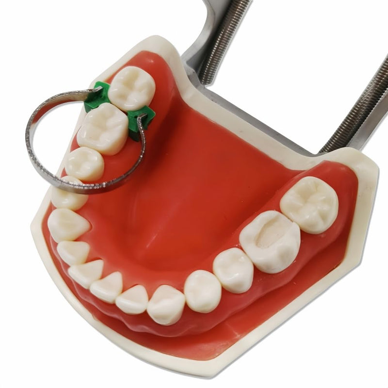 [Australia - AusPower] - 80pcs New Dental Sectional Contoured Metal Matrices Matrix Wedges Set with add-on Wedges Rubber Wedges,Matrix Clips 