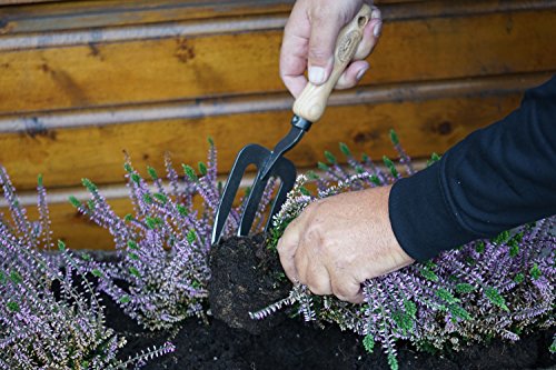 DeWit Tierra Garden Welldone handfork with sturdy metal tines and wooden handle for garden soil work