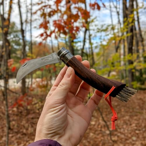 OPINEL No. 08 Mushroom Knife, Curved Stainless Steel Blade (Walnut) Walnut