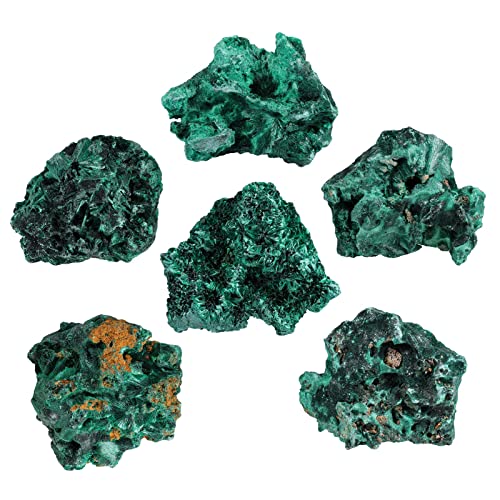 Nupuyai Natural Raw Malachite Crystal Stone for Reiki Healing Stress Anxiety, Real Green Malachite Specimen Cluster Decor for Home Office Tabletop, 51-100g