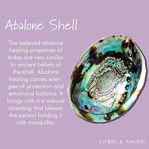 ESPOIR & AMOUR Abalone Shell for Home Decor - Spiritual Abalone Shell for Smudging, Healing and Ritual - Hand-Picked Smudge Bowl - Sustainably Harvested 4.5-5 Inch Abalone Shells Incense Holder REGULAR