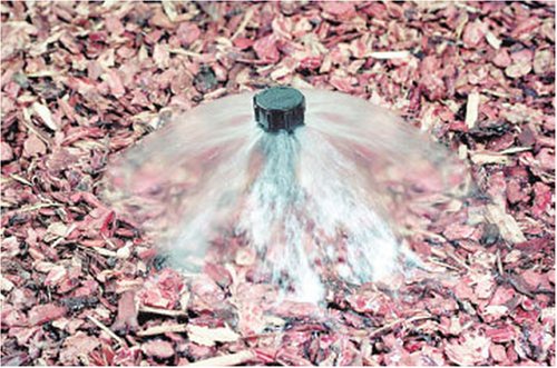[Australia - AusPower] - Toro Flood Bubbler Riser Full Circle with Adjustable Flow 53692 1 Count (Pack of 1) 