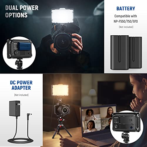 Neewer on Camera Video Light Photo Dimmable 176 LED Panel with 1/4" Thread for Canon, Nikon, Sony and Other DSLR Cameras, 5600K (Battery Not Included) PT-176S