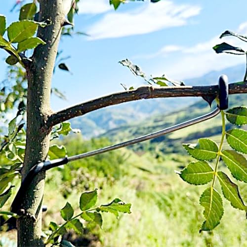 Fruit Tree Branch Spreader 20 Pack Versatile and Durable Solution for Tree Supports Branches Extension (10 Inch) 10"