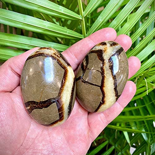 Acxico 1Pcs Septarian Crystal Dragon Stone Healing Crystals Yoga Reiki Meditation 3"