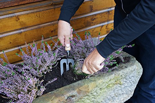DeWit Tierra Garden Welldone handfork with sturdy metal tines and wooden handle