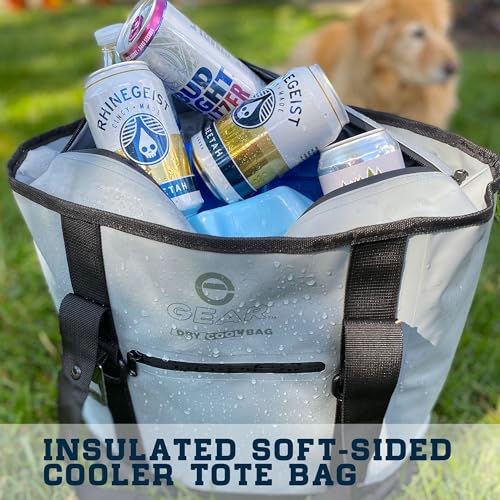 Soft Sided Cooler Tote Bag – Waterproof Leakproof Insulated Dry Bag Cooler with Zipper Top, Collapsible Beach, Pool, Boat, Grocery Cooler (20 or 36 Cans) Grey 20 Liter