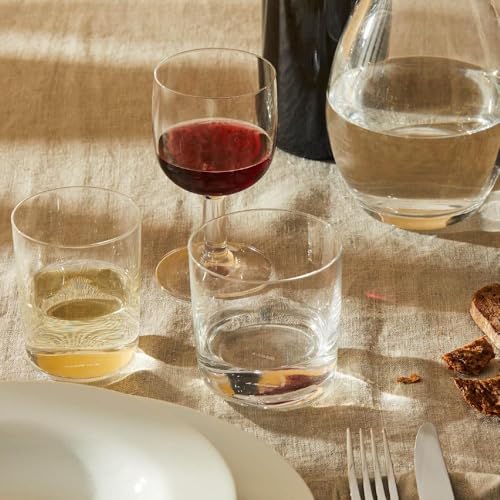 A di Alessi 3-1/4-Inch Crystalline Glass Family Water Glass Set of 4 Modern