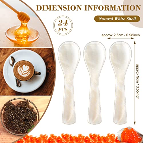Geiserailie 24 Pieces Mother of Pearl Caviar Spoons Handcraft,3.55 Inch (Pack of 2) 48 3.55 Inch (Pack of 2)