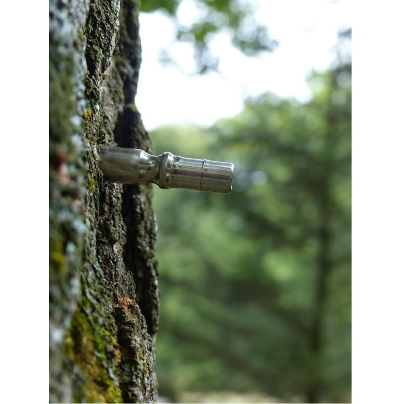 5/16" Stainless Steel Maple Tubing Spouts – Premium Tapping Spiles for Collecting Sap & Making Maple Syrup (25) 25