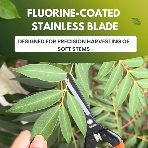forest Originals Saboten 7.9-inch Japanese harvesting shears with straight stainless steel blade and ergonomic grip
