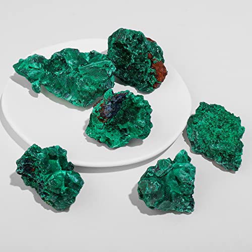 Apengshi Natural Malachite Crystal Stone 0.22-0.33lb Raw Malachite Stone Irregular Rough Malachite Mineral Specimen Original Shape Healing Crystal Gem Worry Relief Stress with Gift Box 0.22-0.33 Pound
