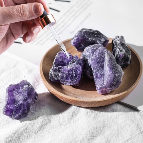 JOHOUSE 6 PCS Amethyst Crystal with Jar, 0.66LB Raw Quartz Purple