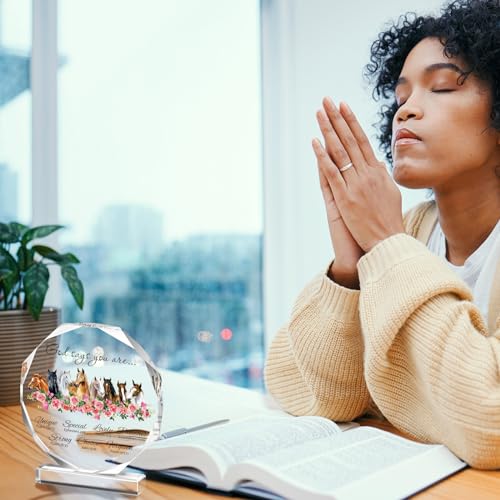 Gerrii Christian Birthday Gifts for Women Bible Verse Acrylic Plaque Horse