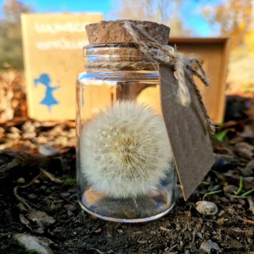 Shirene Real Dandelion In A Glass, Dandelion Gift Handmade Spiritual Gifts For Women, Girlfriend, Birthday, Mother's Day, Mum, Kids, Best Friend
