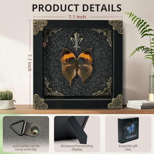 Real Butterfly Framed Handmade - Taxidermy Butterfly Shadow Box - Real Framed Butterflies in a Box for Gothic Home Decor Aesthetic. (Kallima Inachus) Kallima Inachus